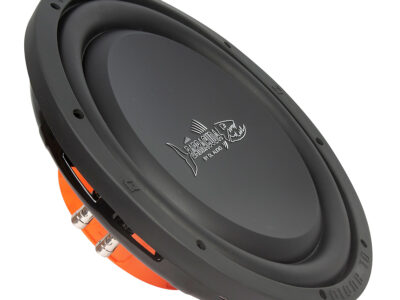 Сабвуфер DL Audio Barracuda 12 Flat