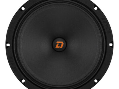 Акустика DL Audio Raven 200 v2