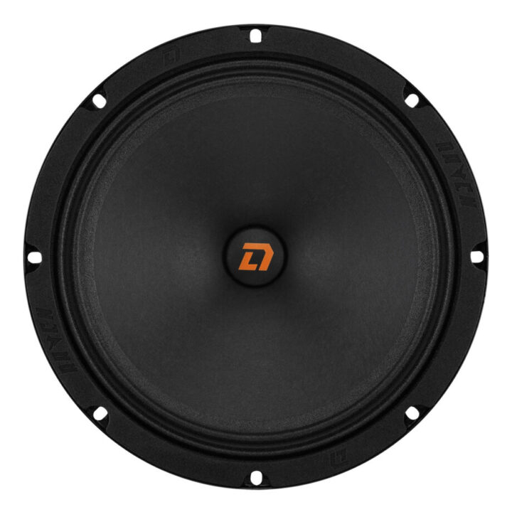 Акустика DL Audio Raven 200 v2