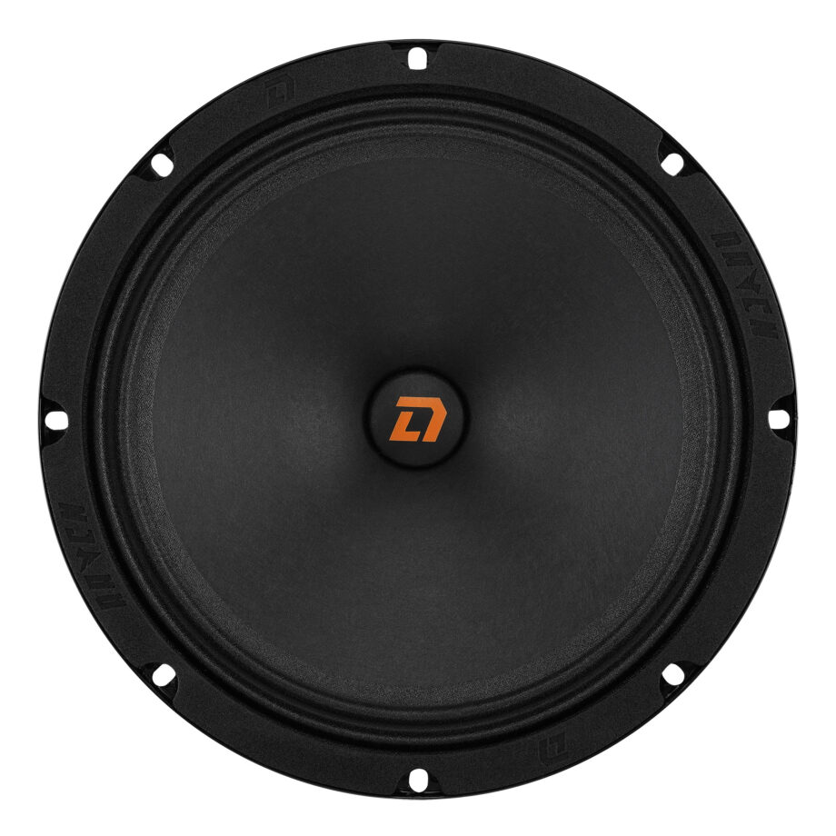 Акустика DL Audio Raven 200 v2