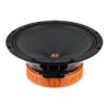 Акустика DL Audio Raven 200 v2