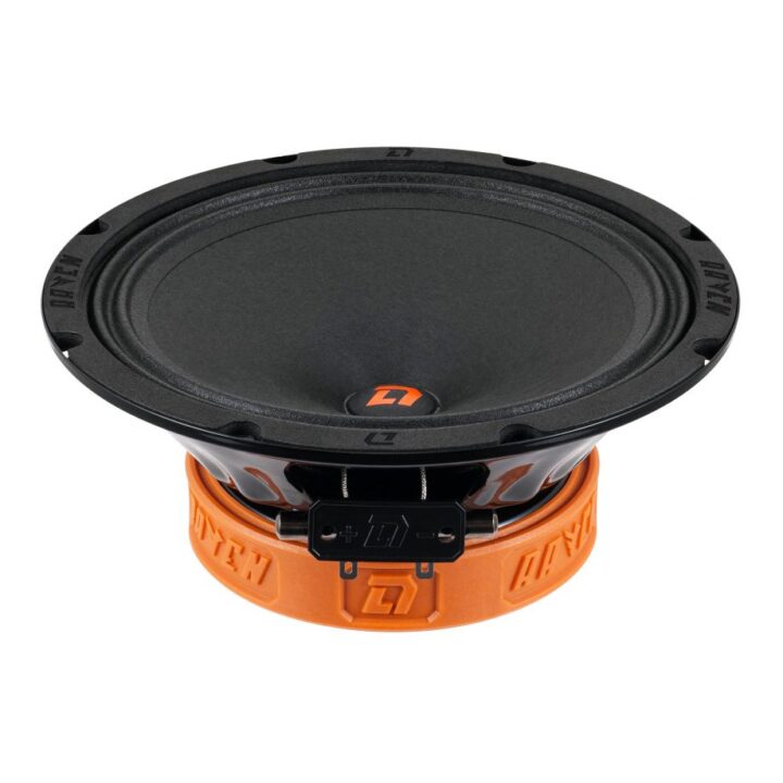 Акустика DL Audio Raven 200 v2