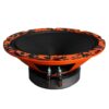 Акустика DL Audio Gryphon Pro 200