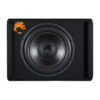 Активный сабвуфер DL Audio Piranha 15A V.2 Black
